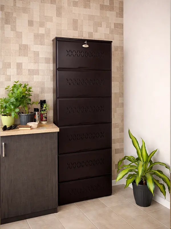 Wall Mounted Shoe Rack Gachibowli