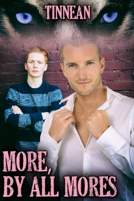 Content card image