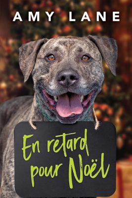 Content card image