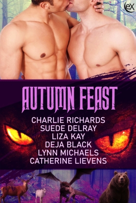 Content card image