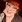 Roxanne Blackhall