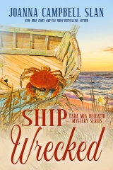 Ship Wrecked