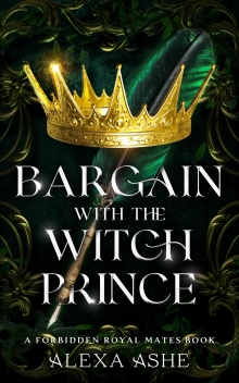 Bargain with the Witch Prince