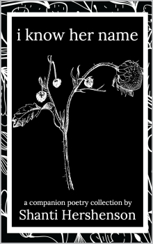 I Know Her Name: a poetry book from the pages of You Won't Know Her Name