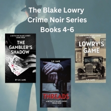 The Blake Lowry Crime Noir Series Box Set : Books 4-6