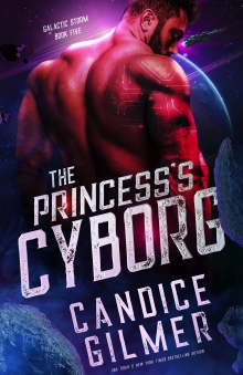 The Princess's Cyborg