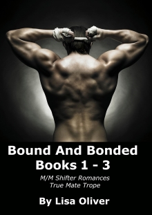 Bound and Bonded Series Boxed Set: Books 1 - 3