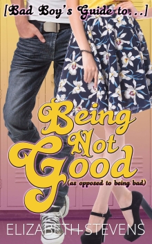 [Bad Boy's Guide to...] Being Not Good