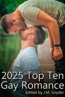 2025 Top Ten Gay Romance