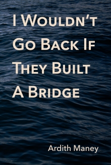I Wouldn't Go Back If They Built A Bridge