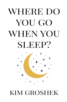Where Do You Go When You Sleep?: Make Better Decisions, Boost Performance, and Leave a Lasting Legacy.