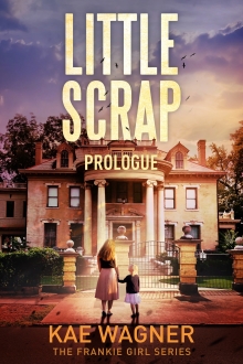 Little Scrap The Fighter: A Story of Love and Redemption