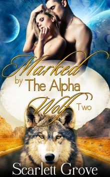 Marked By The Alpha Wolf