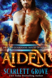 Aiden: House of Flames