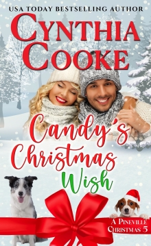 Candy's Christmas Wish: A Pineville Christmas Story
