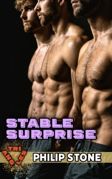Stable Surprise