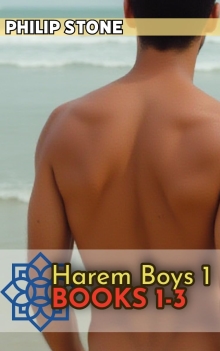 Harem Boys 1: Books 1-3