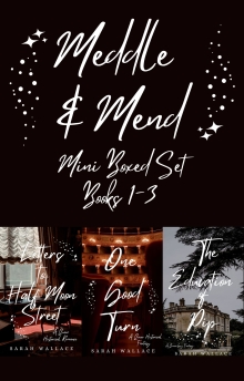 Meddle & Mend Mini Boxed Set: Books 1-3