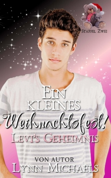 Ein kleines Weihnachtsfest: Levis Geheimnis (German Edition)