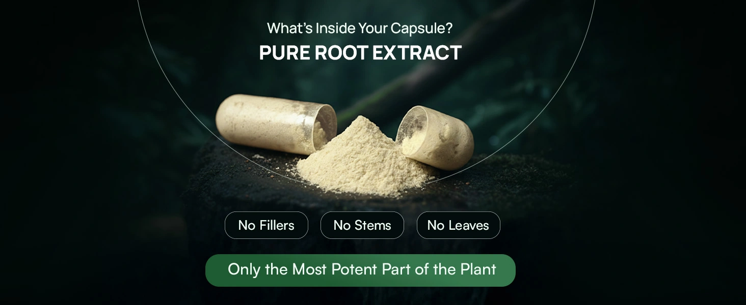 Product Highlight Banner 1
