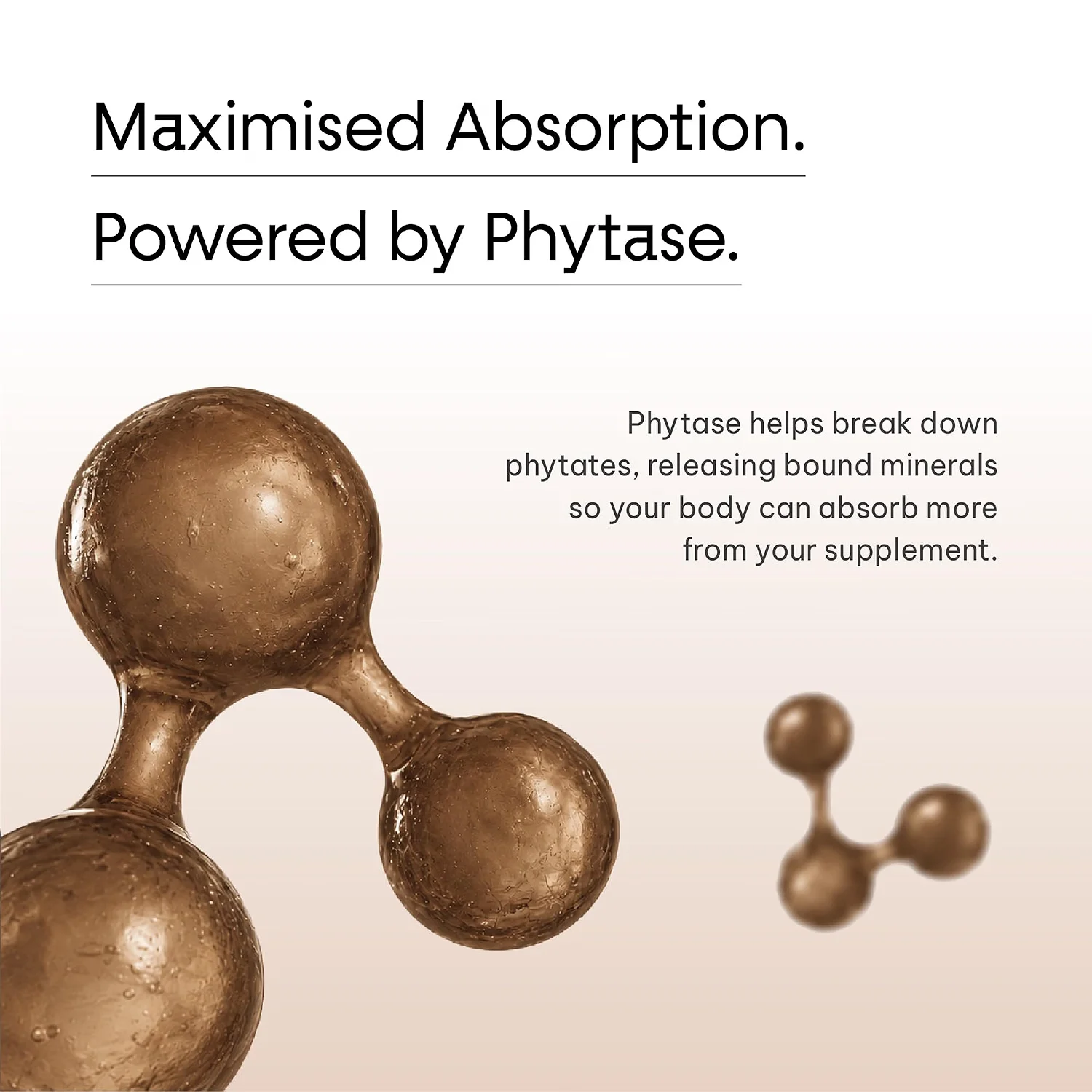Product Highlight Banner 1