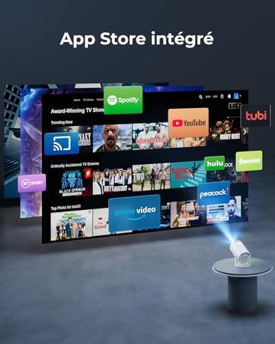 Vue 2 de App Integree Auto Keystone