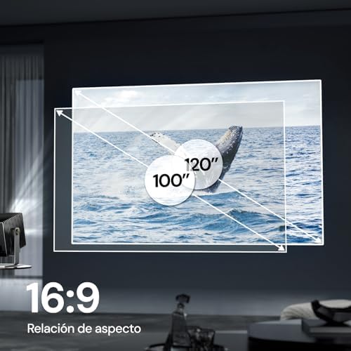 Vue 3 de Ecran De Projection Fixe