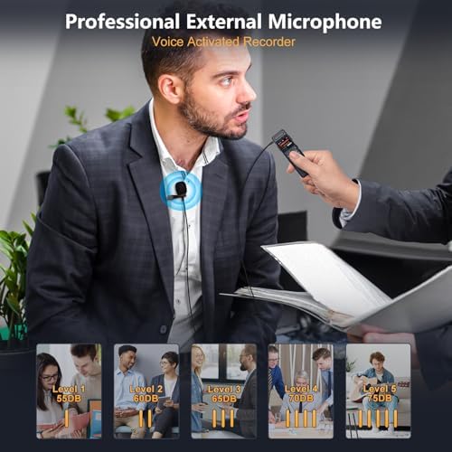 Vue 3 de Go Enregistreur Vocal Numerique