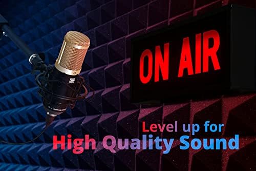 Vue 2 de Pronomic Cmbg Microphone