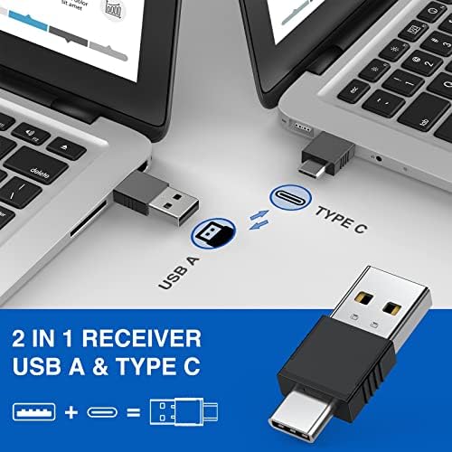 Vue 2 de In Type Ca Pointeur