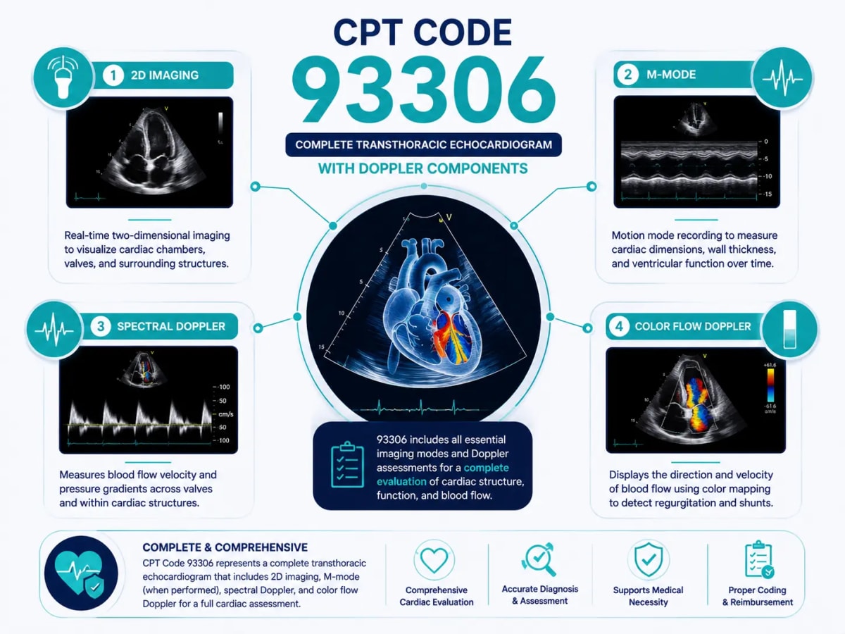 CPT Code 93306 Echocardiogram Components CPT code 93306 infographic showing 2D imaging, M-mode, spectral Doppler, and color flow Doppler components