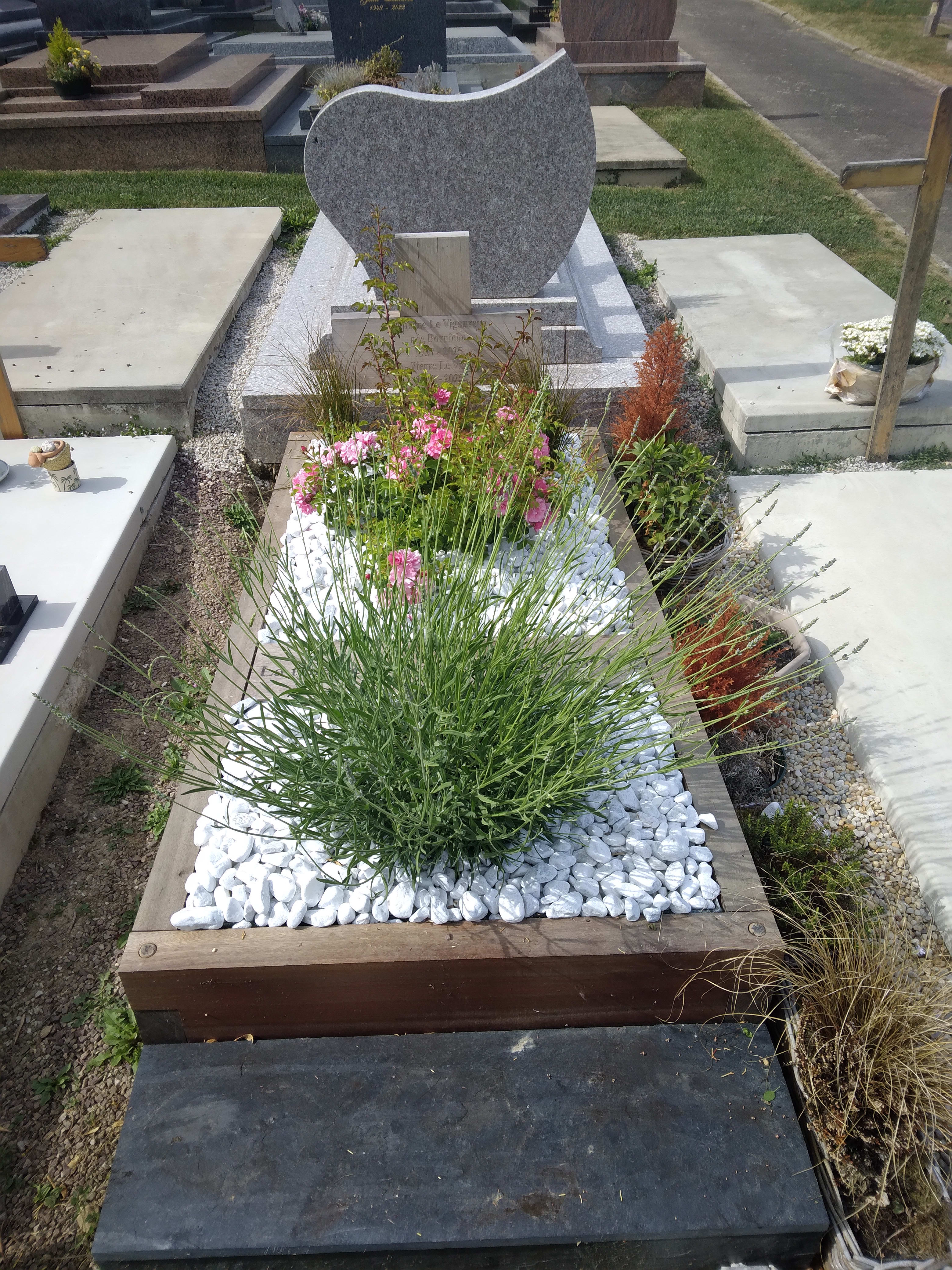 Image 13