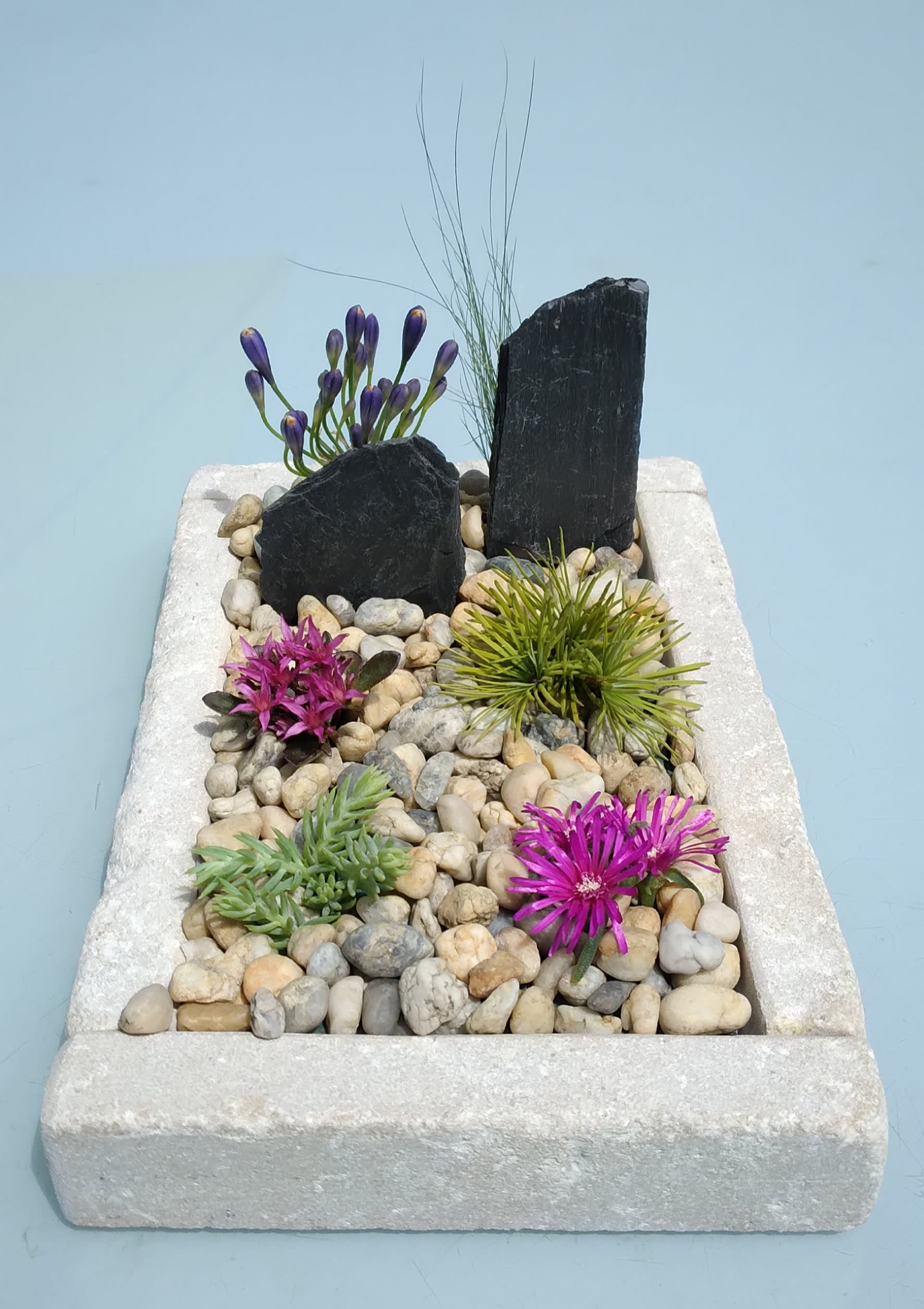 Image 14