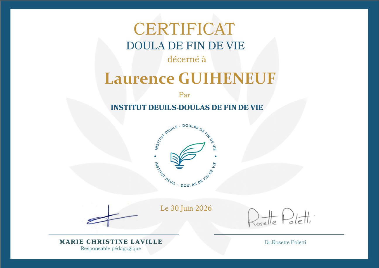Photo 4 de Plum'