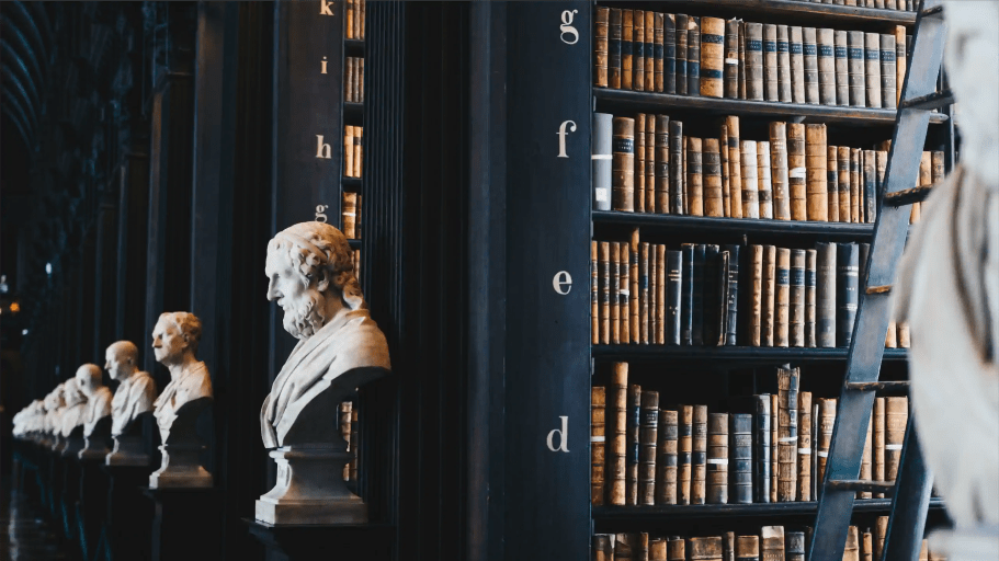 Books on shelves in law library