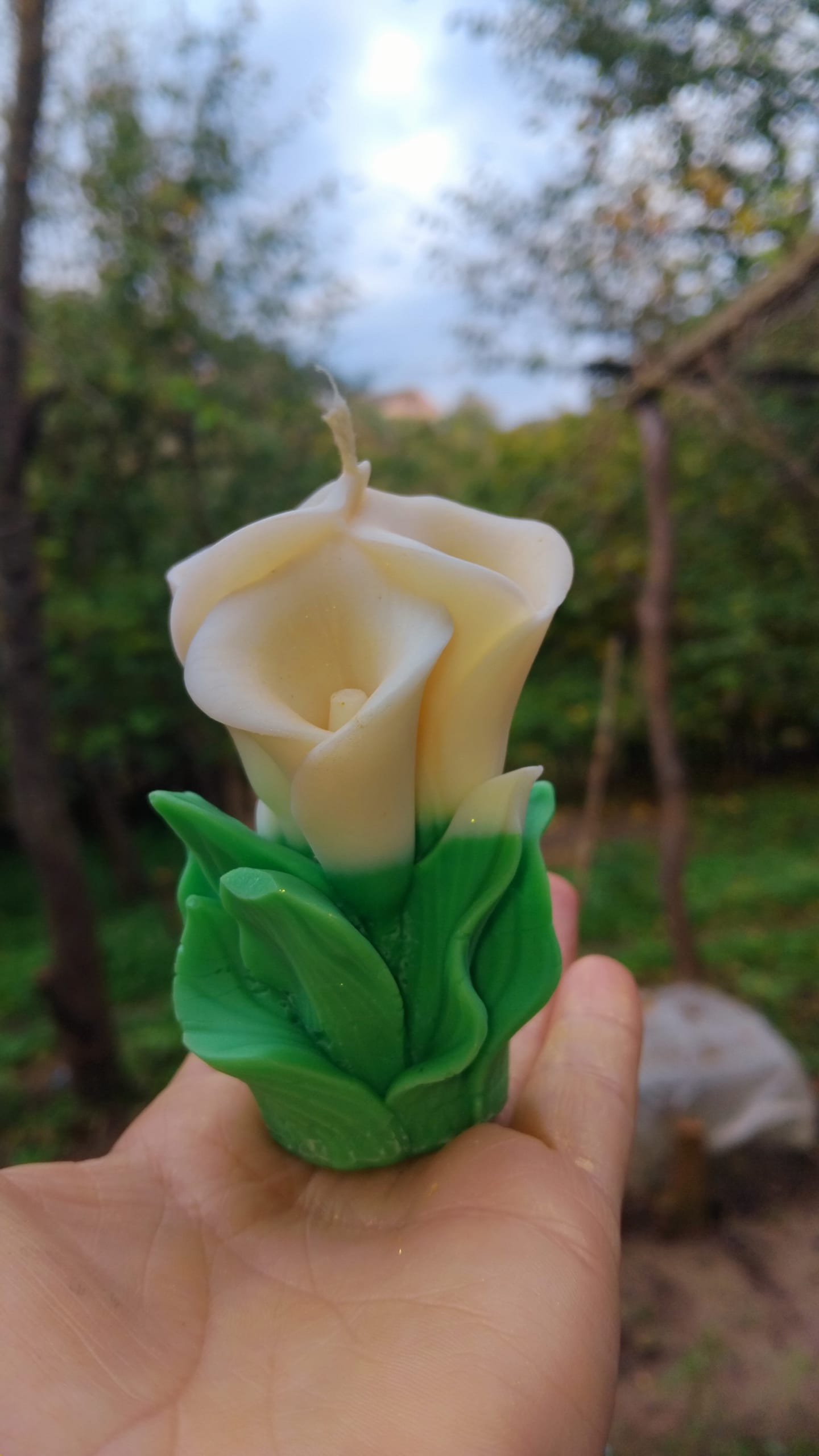 კალა