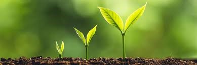 Strategy Supports for SME Growth