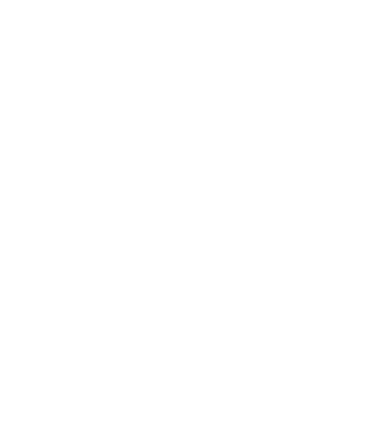 Star Left Bottom Decoration