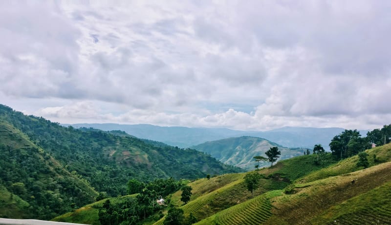How Elevation Impacts Flavor and Bean Quality: High Altitude Coffee