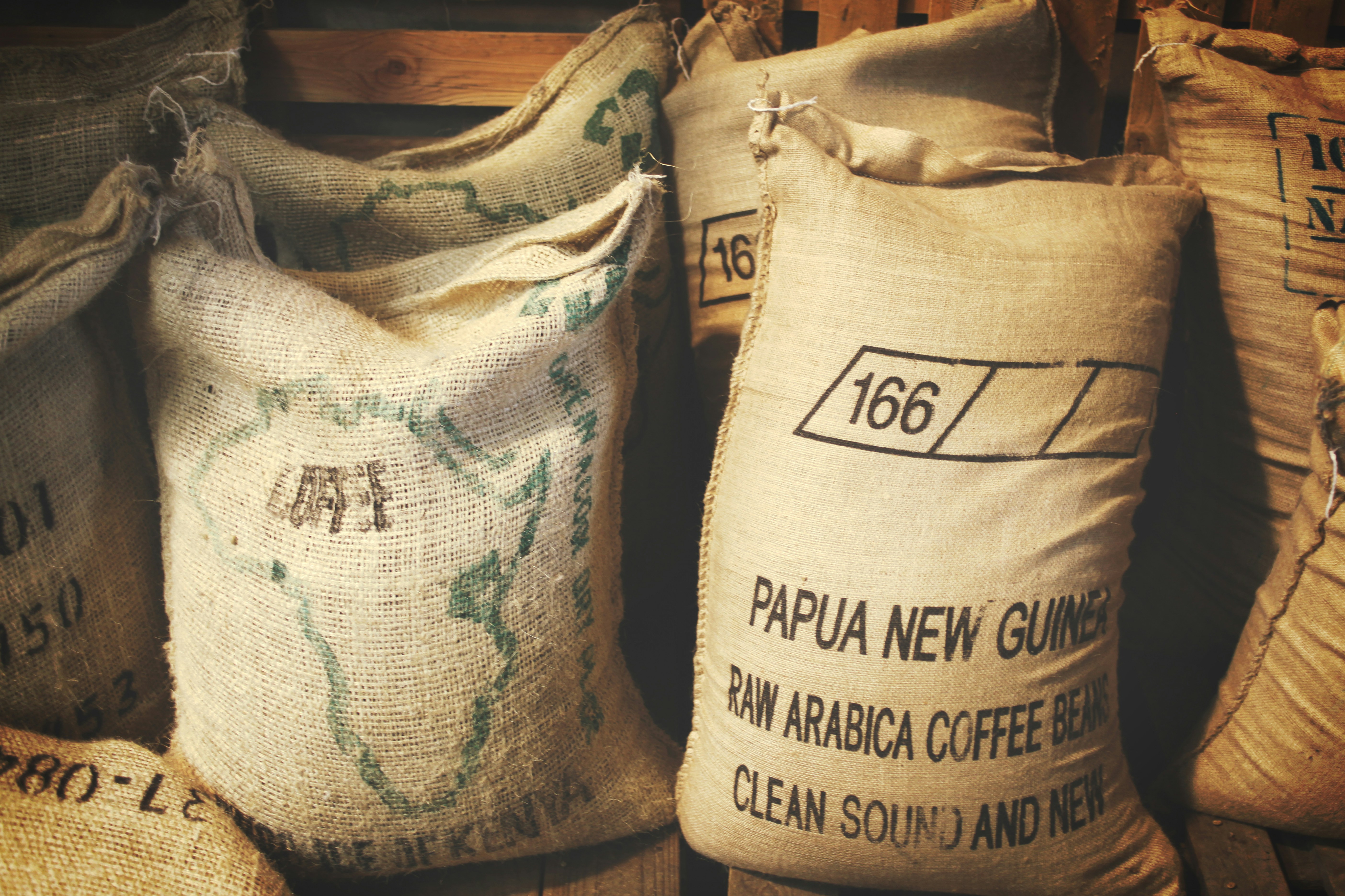 Arabica vs. Robusta – The Great Coffee Bean Debate