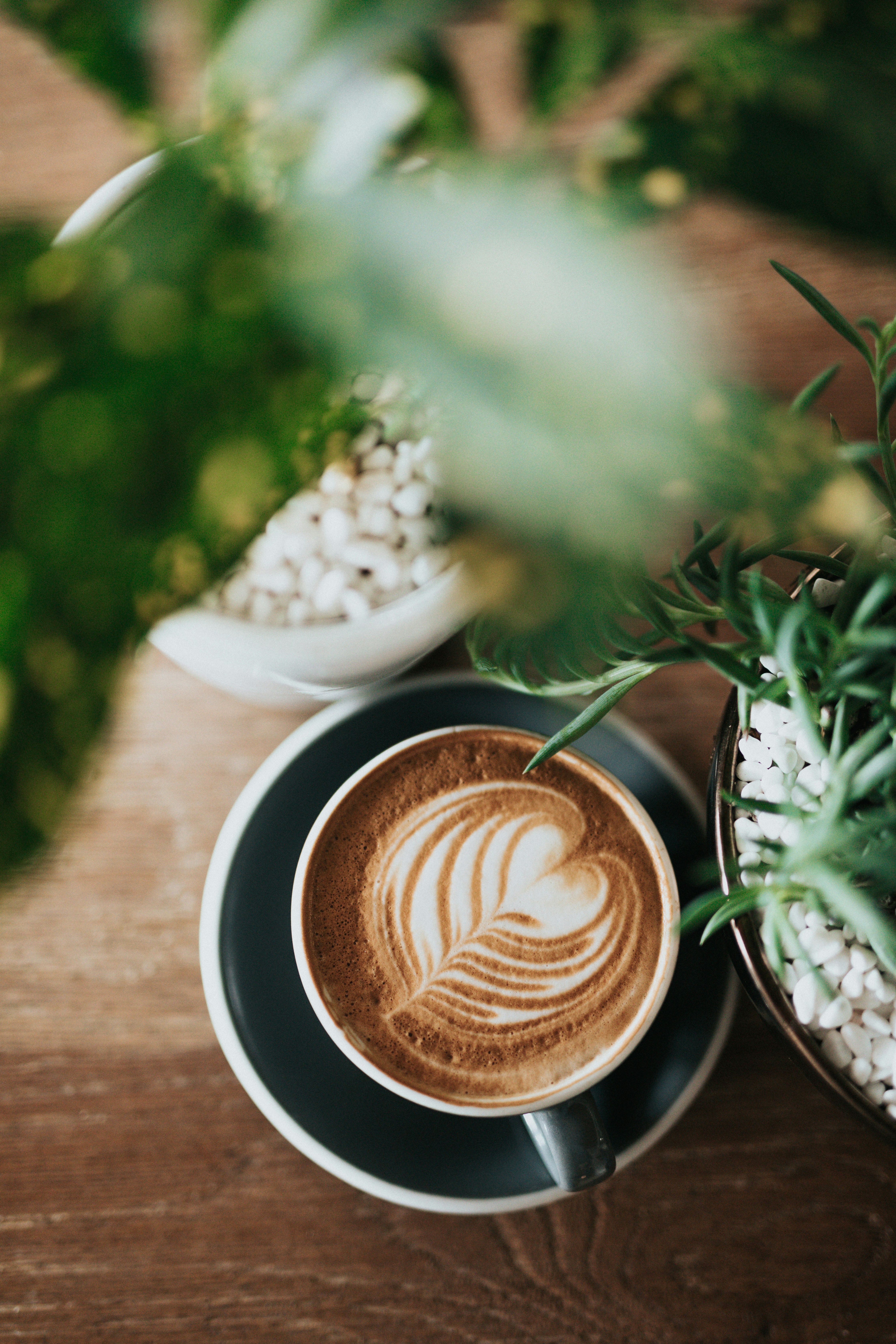Used Coffee Grounds as Fertilizer: The Ultimate Eco-Friendly Hack for a Thriving Garden