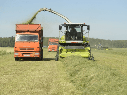 В Ленобласти стартовала кормозаготовительная кампания