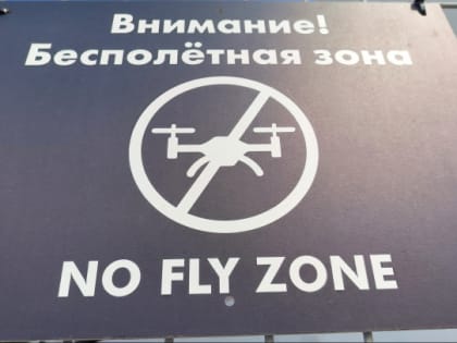 Ленобласть напомнила о запрете на митинги после того, как в Гатчине протестовали более 100 человек