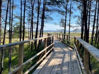 Плата за вход в заказники Ленобласти может принести в бюджет 3 млн рублей