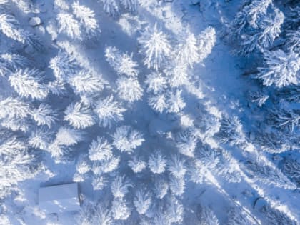 Облачно и снежно: погода в Ленобласти 14 февраля