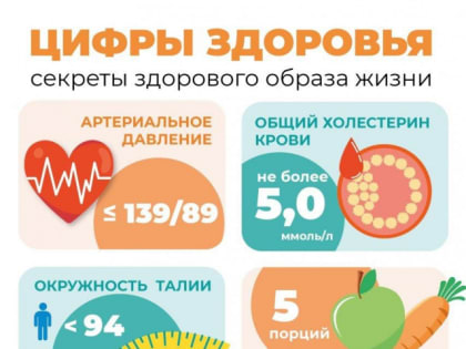 Принципы ответственного отношения к здоровью