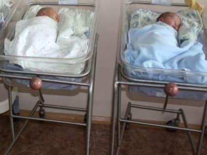 Какие льготы положены родителям-студентам, рассказали специалисты