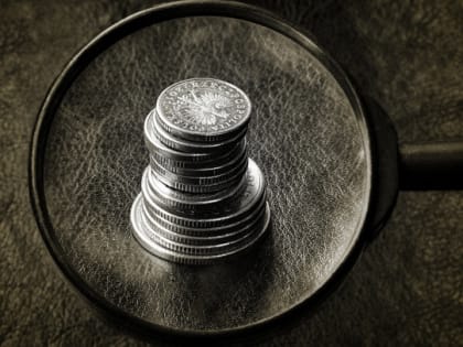 Суд признал законным увольнение экс-депутата Мшинской по утрате доверия