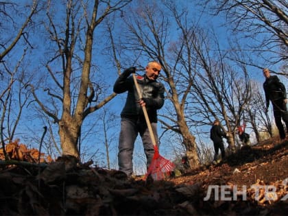 Несмотря на похолодание, общегородской субботник в Петербурге переносить не будут