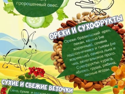 ЭКСКУРСИЯ